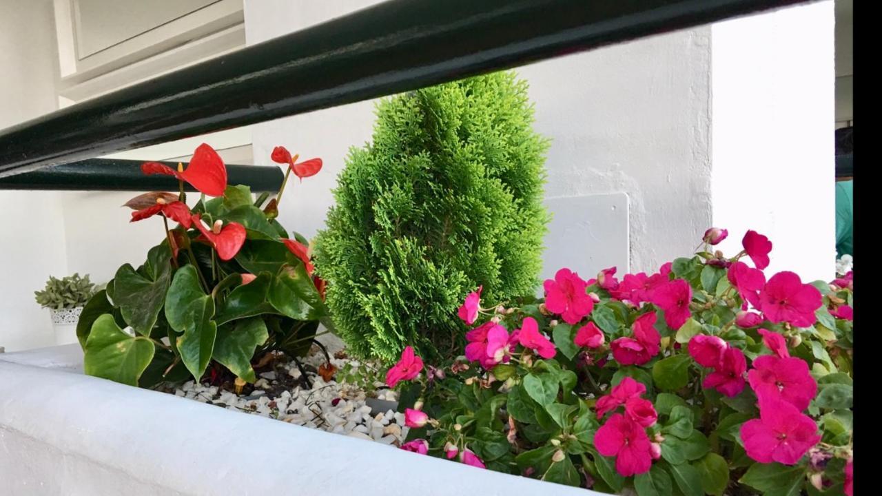 Mi Capricho A17 Beachfront Apartment La Cala De Mijas Exterior foto